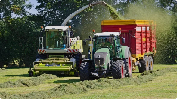 Кормозаготовка