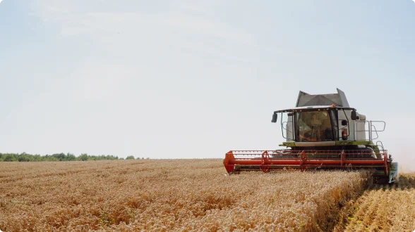 Уборка урожая